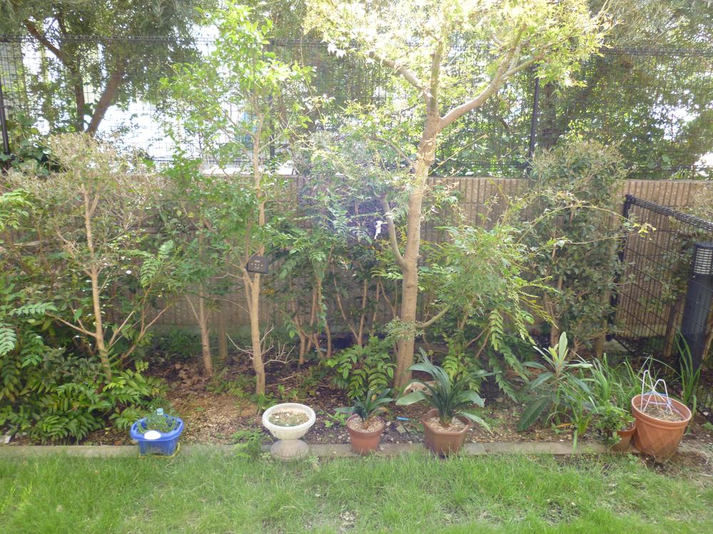 Garden. Local (11 May 2013) Shooting