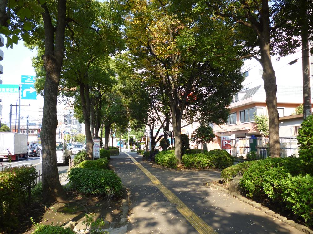 Other. Funabori Green Road