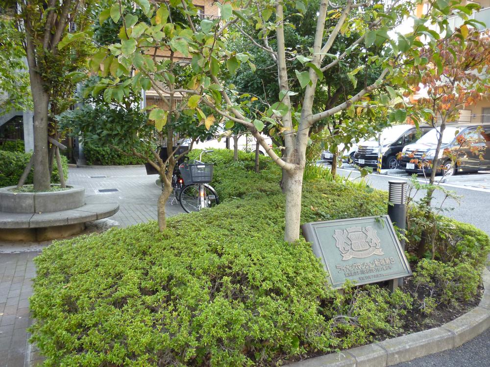 Garden. Common areas