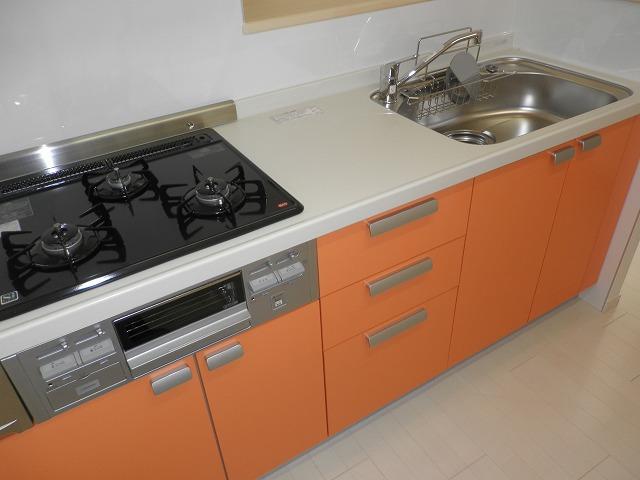 Kitchen. Indoor (September 2013) Shooting