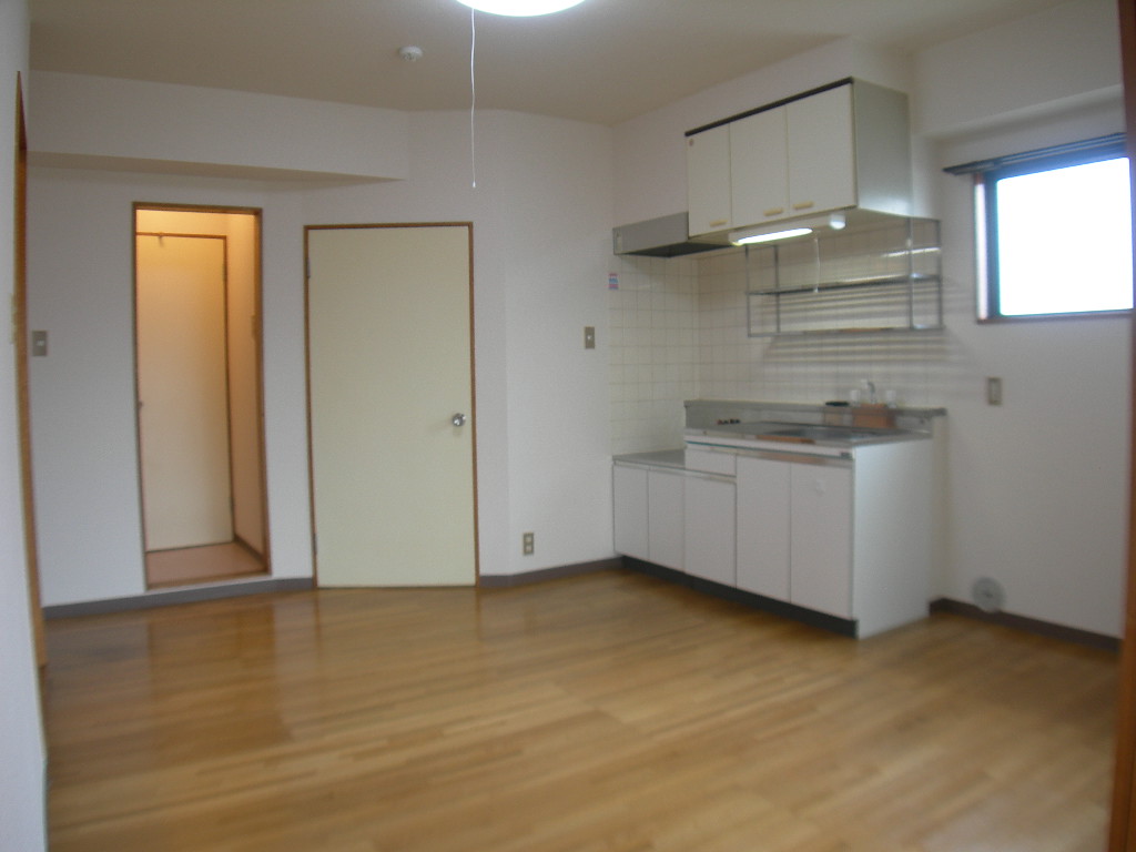 Kitchen. DK 1