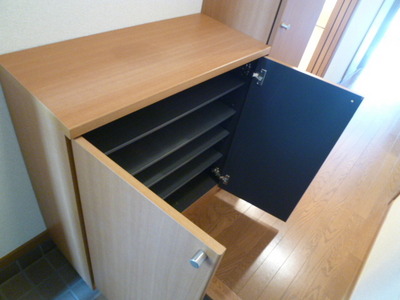 Other Equipment. With shoe box