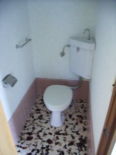 Toilet. Toilet