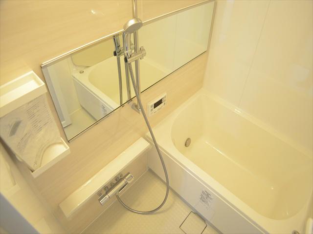 Bathroom. Bathroom of a big mirror