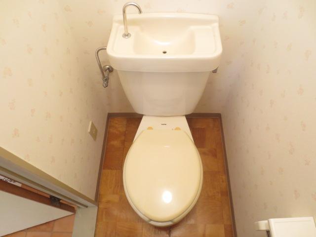 Toilet. Toilet