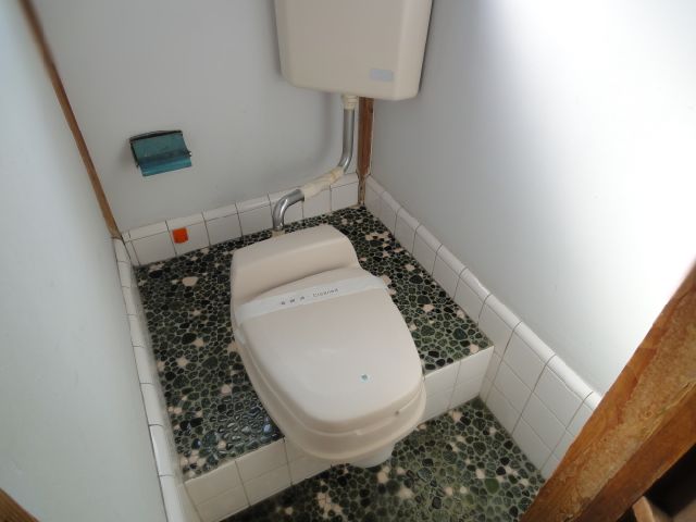 Toilet. Toilet