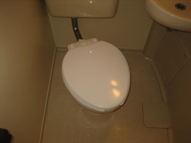 Toilet. Toilet