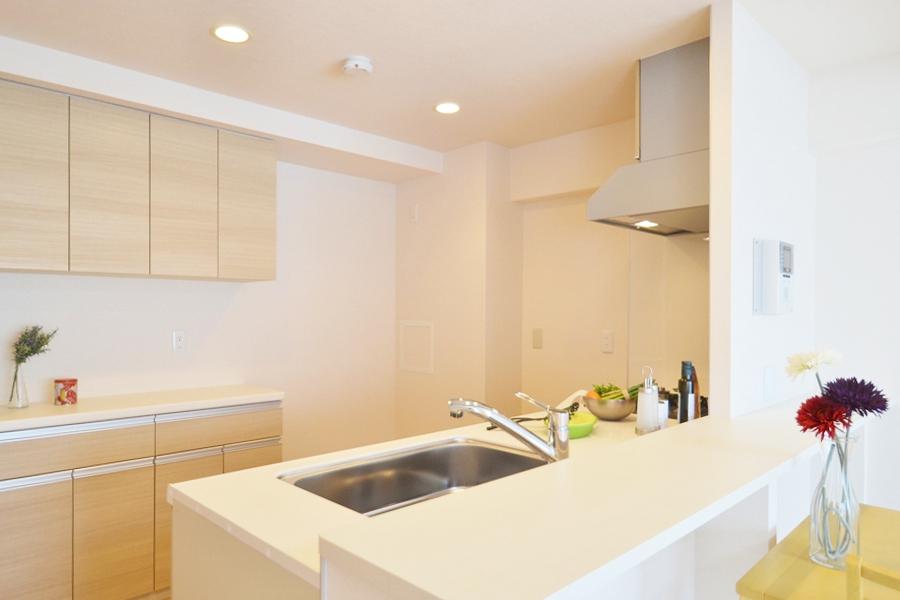 Kitchen. Indoor (11 May 2013) Shooting