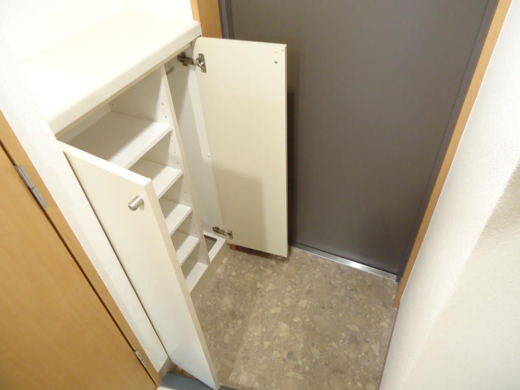 Entrance. Shoe box