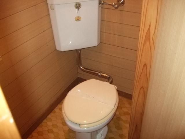 Toilet. Toilet