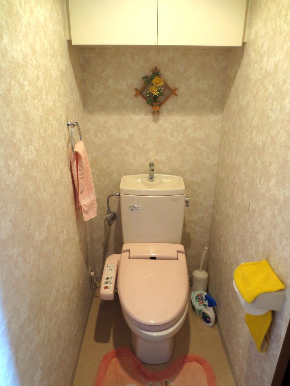 Toilet. Washlet toilet With storage
