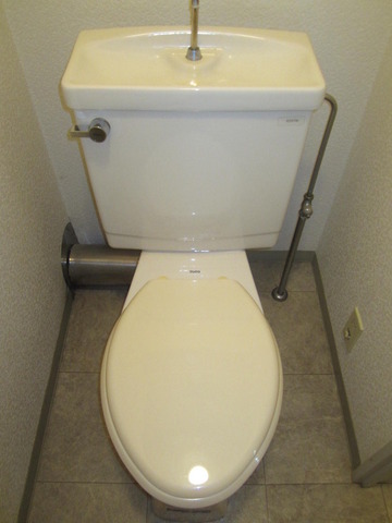 Toilet. Toilet