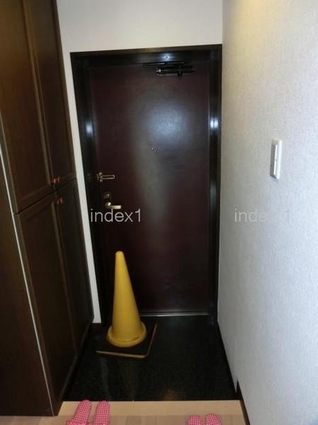 Entrance. It is fashionable entrance door of the tree that is a profound feeling!