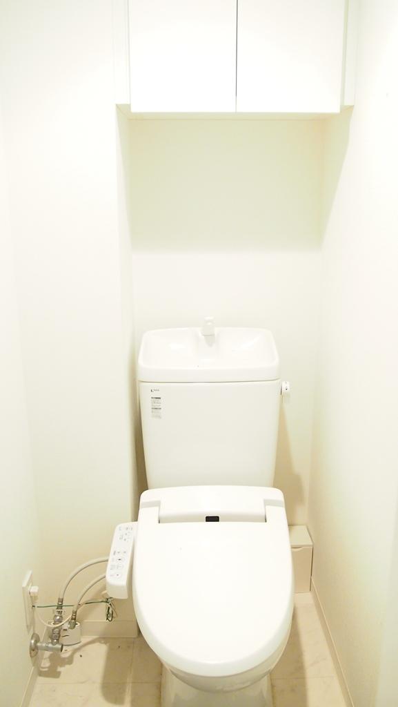 Toilet. Indoor (12 May 2013) Shooting