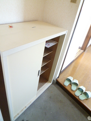 Entrance. Shoe box