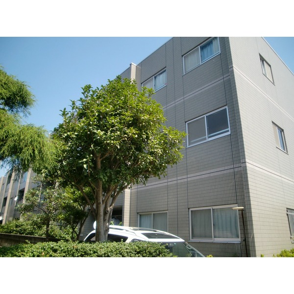 Building appearance