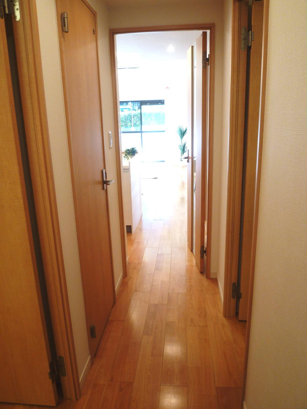 Other introspection. Entrance before the corridor (December 2013) Shooting