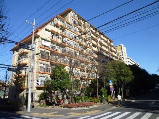 Local appearance photo. Juneshion Hirai Appearance (2013, December 19, 2009)