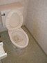 Toilet. Toilet