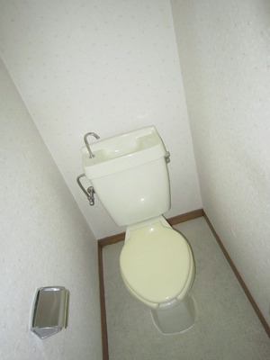 Toilet. Found on the top shelf