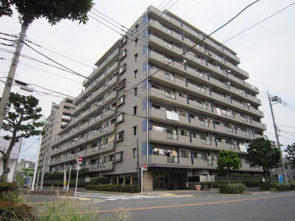 Local appearance photo. Local (August 2013) Shooting