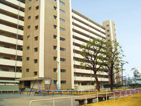 Building appearance