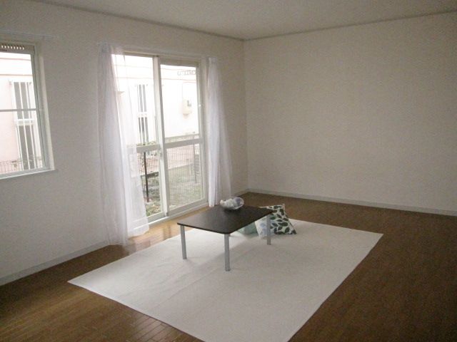 Living and room. Day is a good warm living on the south-facing.