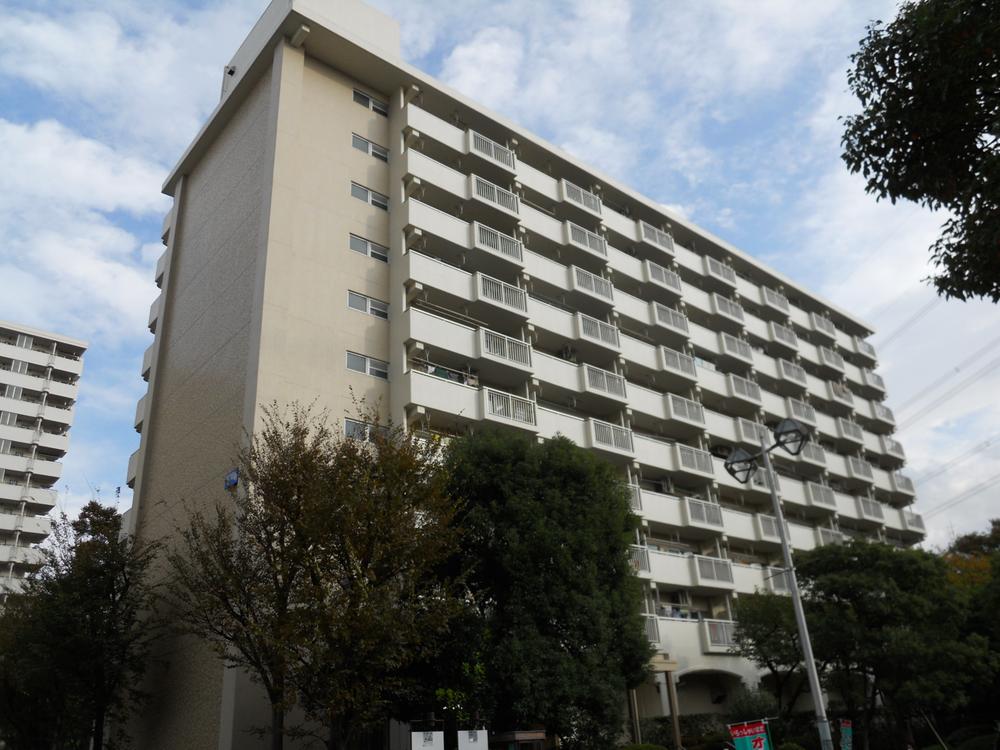 Local appearance photo. Local (11 May 2013) Shooting