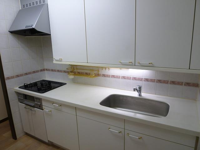 Kitchen. Indoor (October 10, 2013) Shooting