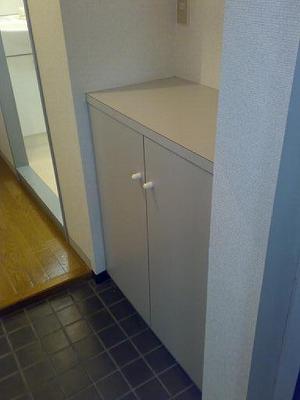 Entrance. Cupboard