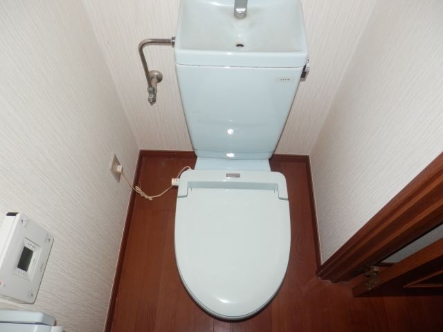 Toilet. Toilet