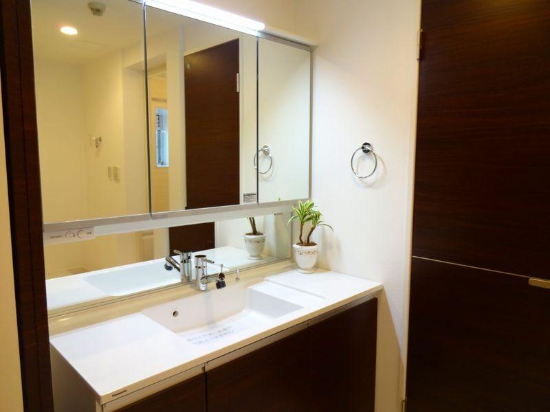 Wash basin, toilet. Bathroom vanity