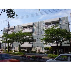 Building appearance