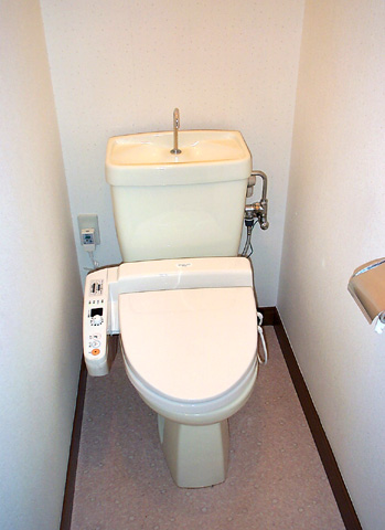 Toilet. Bidet
