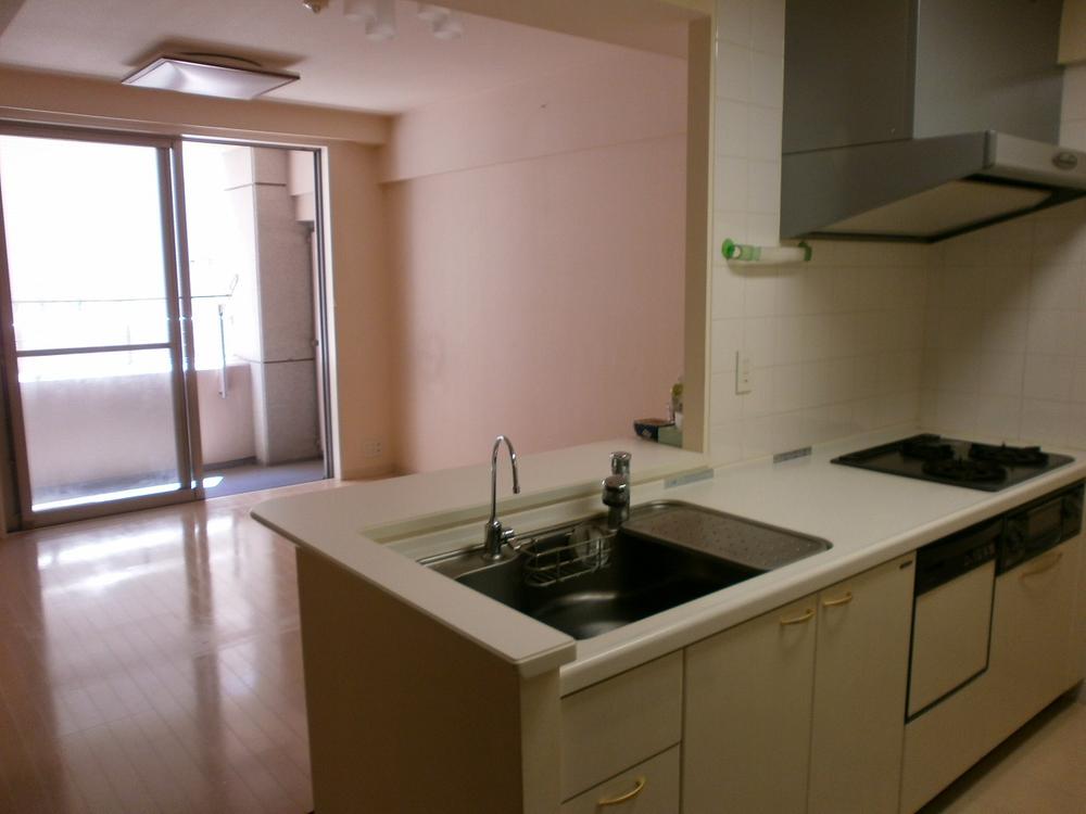 Kitchen. Indoor (05 May 2013) Shooting