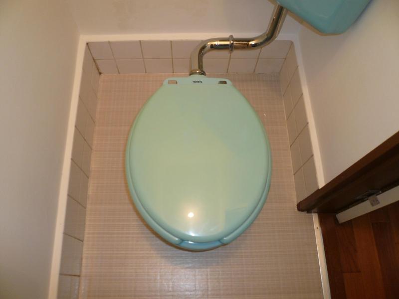 Toilet. Toilet