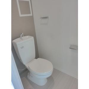 Toilet. It's good I clean toilet. 
