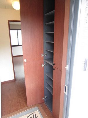 Entrance. Entrance with a shoe box