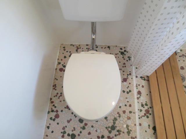 Toilet. Toilet