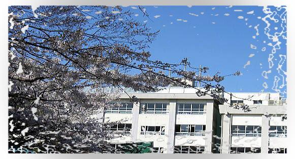 Primary school. Kitakoiwa until the elementary school opened in 485m 1954, Celebrated this year 56 years. It has turned out graduates since 4731 people. Commute ・ This is where good transport links is to go to school.