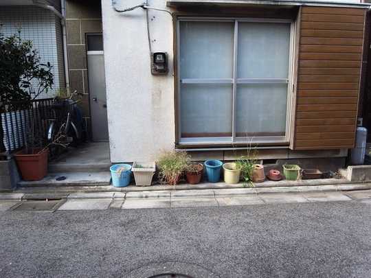 Local land photo