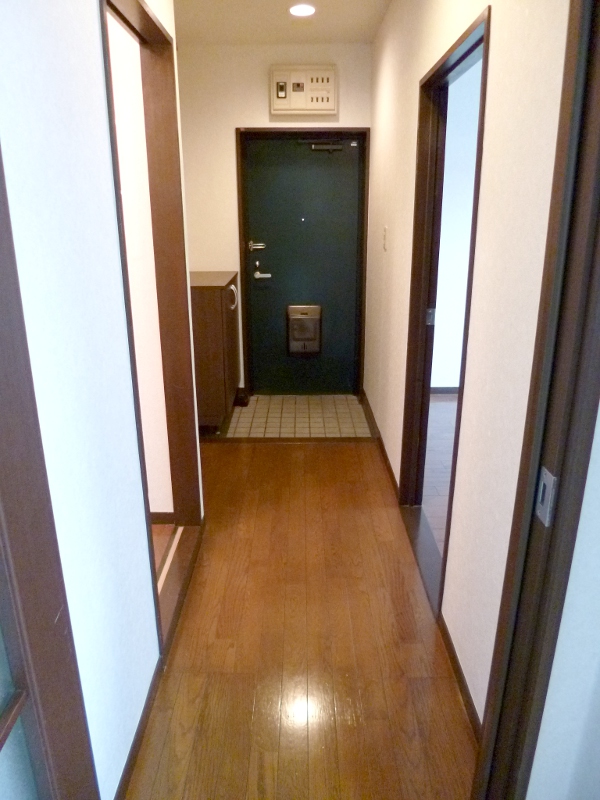 Entrance. Corridor
