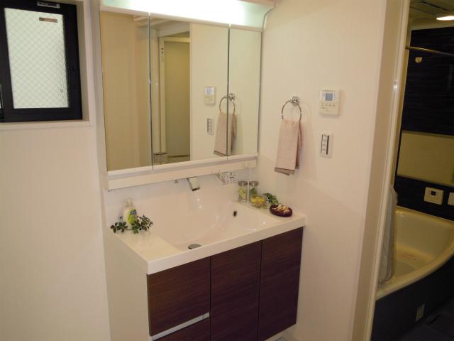Same specifications photos (Other introspection). Caring Easy vanity with excellent company specification example (lavatory) storage capacity and functionality