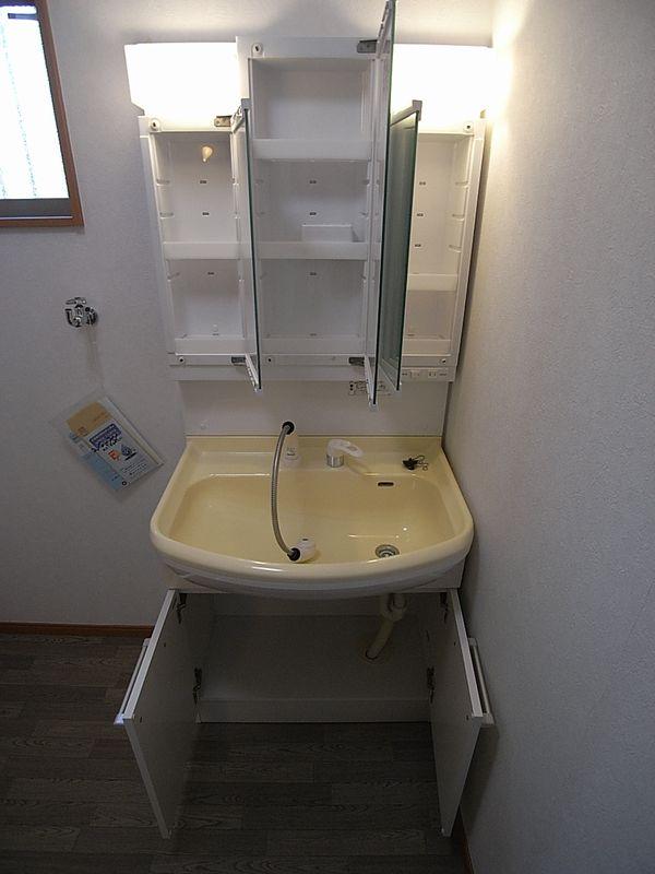 Wash basin, toilet. Independent washroom