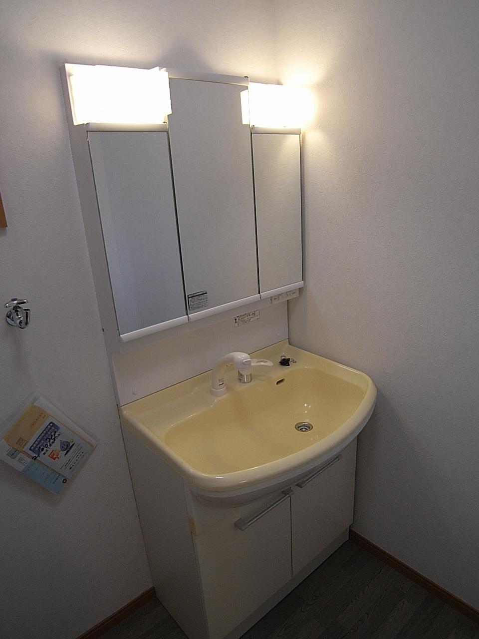 Wash basin, toilet. Shower