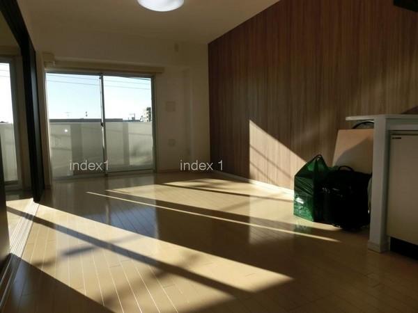 Living. Bright sunshine will plug from balcony!