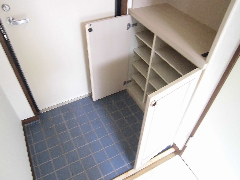 Entrance. Shoe box