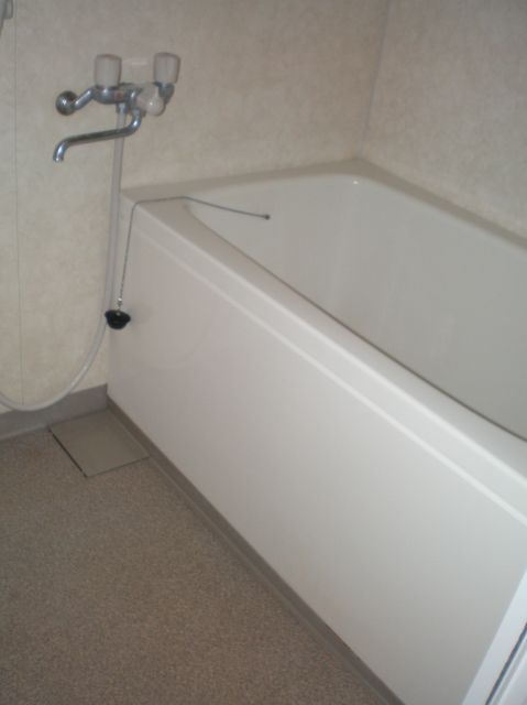 Bath. Bathroom is