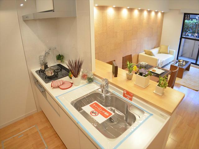 Kitchen. Face-to-face kitchen