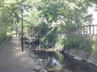 Other. Komatsugawa Sakaigawa Water Parks